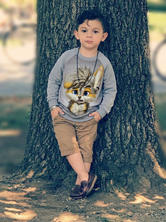 Džemperis ar lapsu nr.2, 116cm